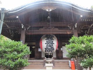 IMG_9944.jpg