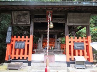 IMG_9958.jpg