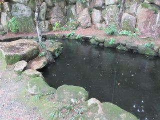 IMG_9959.jpg