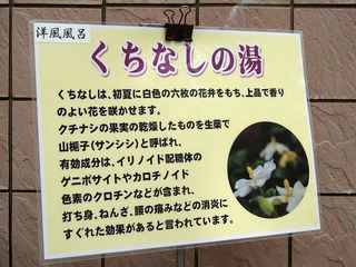 P4150139.jpg
